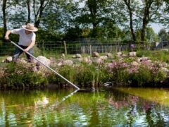 pond cleaning