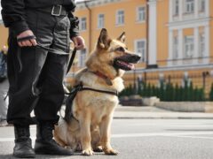 k9 police dog training