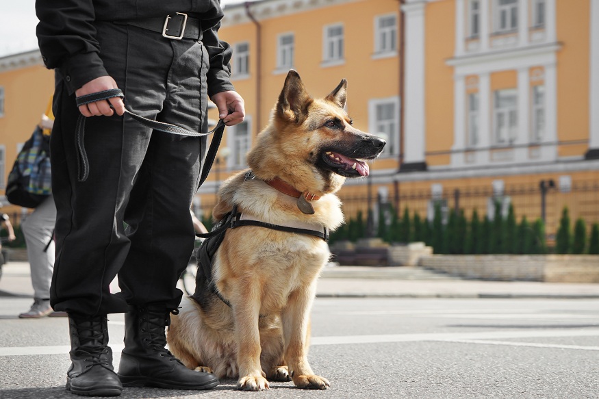 k9 police dog training